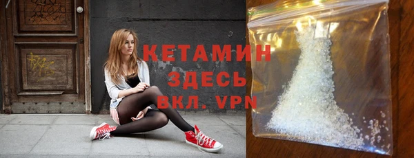 шишки Аркадак