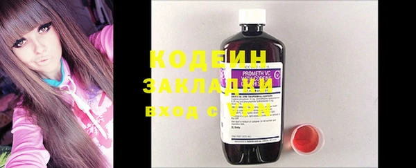 шишки Аркадак