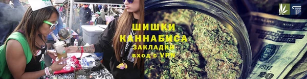 шишки Аркадак